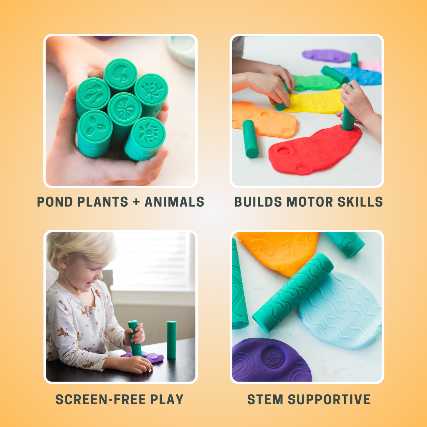 Pond Nature Rollers (set of 6)